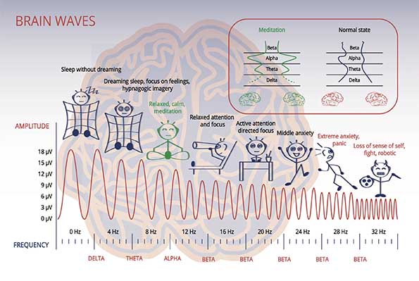 brainwave-map_595x