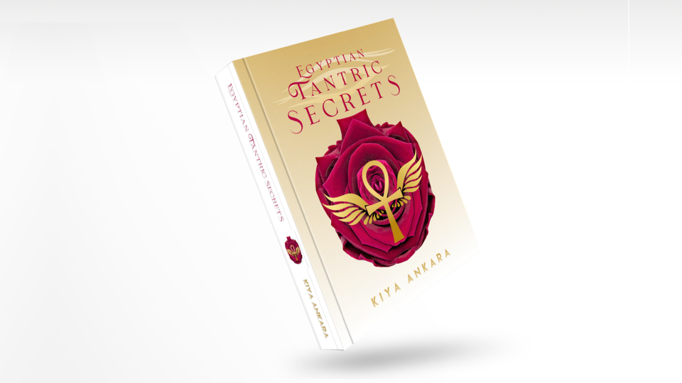 ETS book cover mock up-3